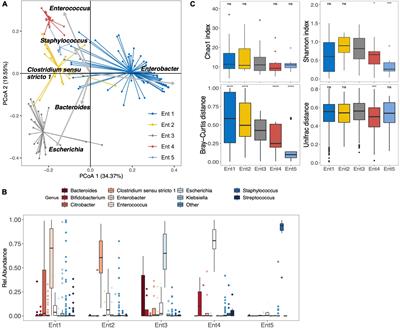 Very Preterm Children Gut Microbiota Comparison at the Neonatal Period of 1 Month and 3.5 Years of Life